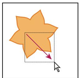 ADOBE ILLUSTRATOR CS3 - Sélection d'objets avec fond - 2