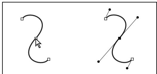 ADOBE ILLUSTRATOR CS3 - A propos des lignes directrices et des points directeurs - 1