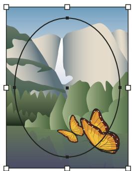 ADOBE ILLUSTRATOR CS3 - A propos des masques d'écrêtage - 1