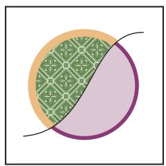 ADOBE ILLUSTRATOR CS3 - Modification des groupes de peinture dynamique - 1