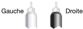 BOSE L1 COMPACT - Sorties en panneau arrête - 2