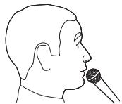 BOSE L1 COMPACT - Réglages du canal 1 (microphone) - 1