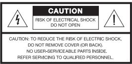 BOSE SOUNDDOCK 10 - ATTENTION - 1