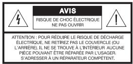 BOSE SOUNDDOCK 10 - ATTENTION - 2