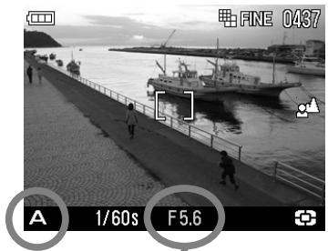 SIGMA DP1 - A PRIORITE A L'OUVERTURE AE - 1