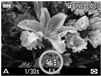 SIGMA DP1 - 4 - 1