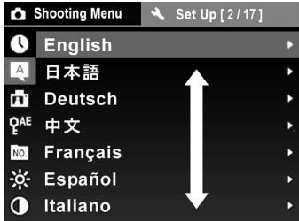 SIGMA DP1 - MISE EN GARDE! - 3