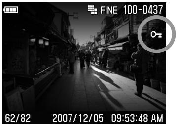 SIGMA DP1 - 5 - 1