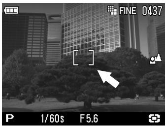 SIGMA DP1 - UTILISATION DE L'AUTOFOCUS - 1