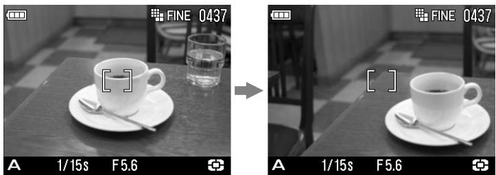 SIGMA DP1 - 2 - 1