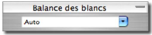 SIGMA PHOTO PRO 3.3 - Modification de la Balance des blancs dans un fichier X3F - 1
