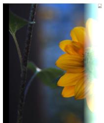 SIGMA PHOTO PRO 3.3 - Désintégration - 1
