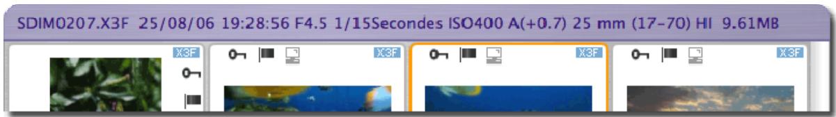 SIGMA PHOTO PRO 3.3 - Information sur l'Image - 1