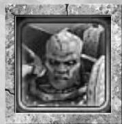 GAMES PC DAWN OF WAR - ASPIRANT CHAMPION - 1