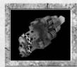 GAMES PC DAWN OF WAR - ARMES DES ORKS - 4