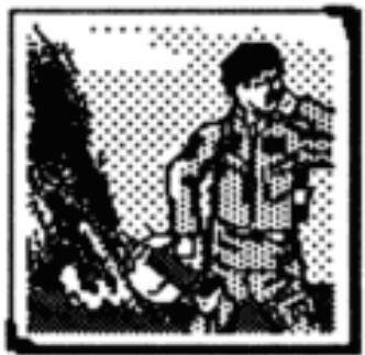 GAMES PC FALCON - Clichés - 6