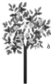 GAMES PC KIRIKOU - LES BONUS VIE - 2