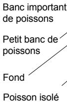 NAVMAN FISH450 TRICOLOR - Détection des poissons - 1