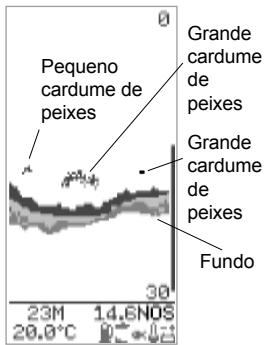 NAVMAN FISH450 TRICOLOR - Detecção de Peixes - 1