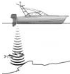 NAVMAN FISH450 TRICOLOR - How the NAVMAN FISH450 Tricolor finds fish and determines the depth - 1