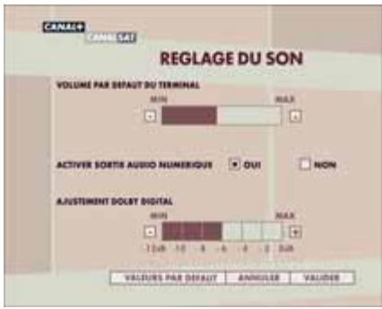 CANALSAT DECODEUR TNT+ DE TYPE 2 - CONFORT AUDIO - 1