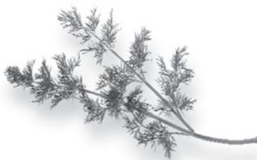 RIVIERA & BAR RIVIERA & BAR QD 105 A - Le séchage des herbes aromatiques sur position 3 - 1