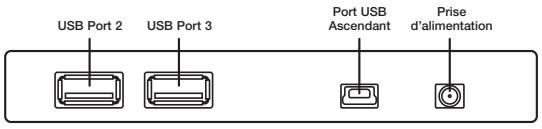 BELKIN LECTEUR/ENREGISTREUR MULTIMEDIA & HUB #F5U271 - Insertion du support - 1