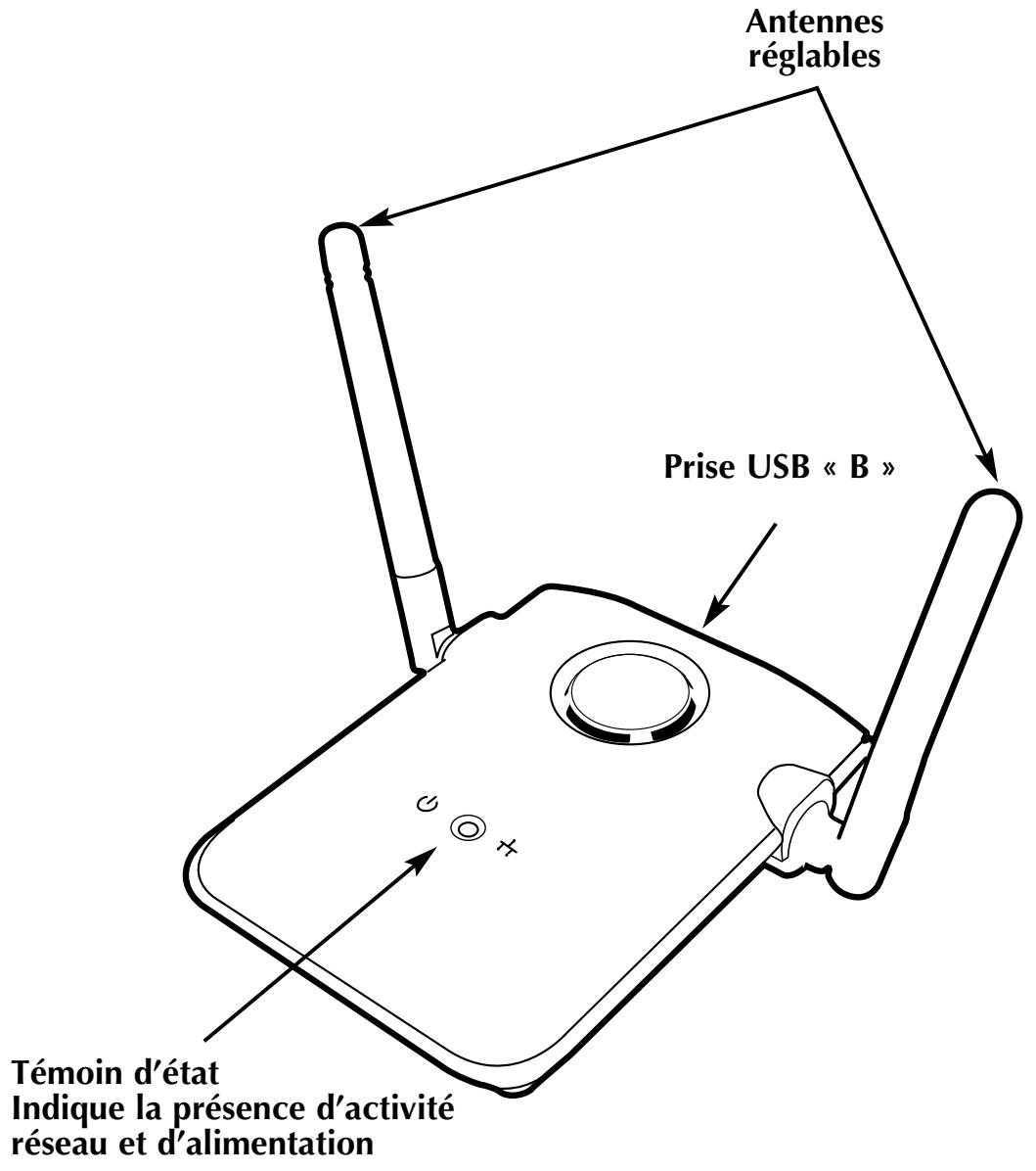 Antennes réglables Prise USB « B » Témoin d’état Indique la présence d’activité réseau et d’alimentation