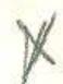 YAESU FT-102 - Accessoires fournis - 2