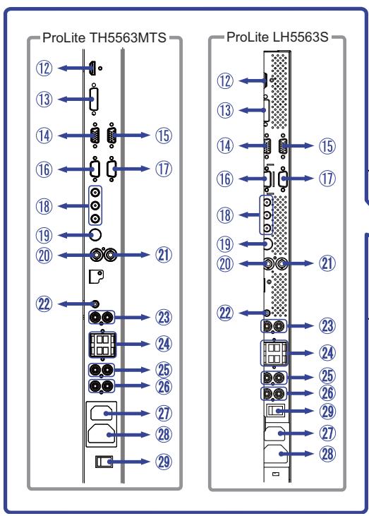 IIYAMA PROLITE LH5563S - COMMANDES ET CONNECTEURS : MONITEUR - 3