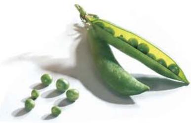 LAGRANGE GRILL PIERRE DELUXE - 1