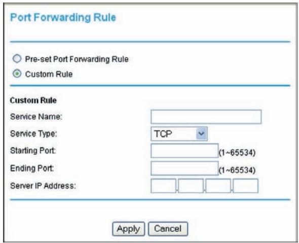 NETGEAR DGND3300V2 - Adding a Custom Port Forwarding Rule - 1