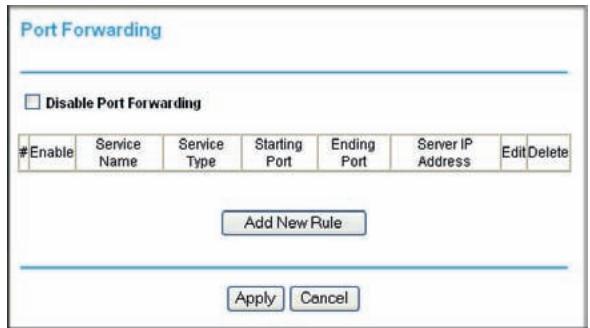 NETGEAR DGND3300V2 - Port Forwarding - 1