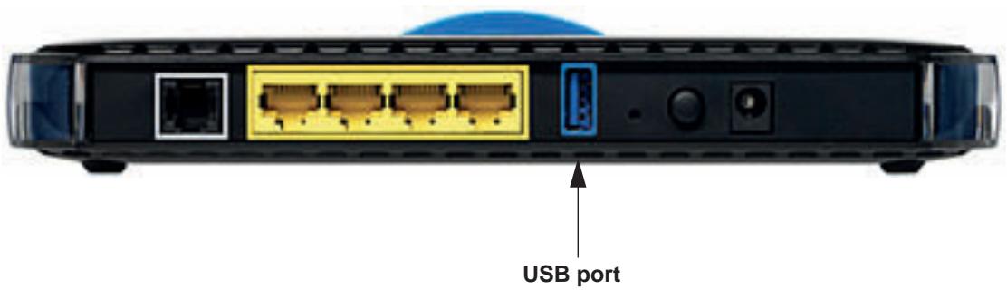 NETGEAR DGND3300V2 - Network storage for sharing files and backing up data - 1