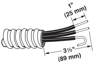 BAUKNECHT WET3300SQ - INSTALLATION INSTRUCTION - 3-wire connection: Direct Wire - 1