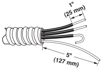 BAUKNECHT WET3300SQ - INSTALLATION INSTRUCTION - 4-wire connection: Direct Wire - 1