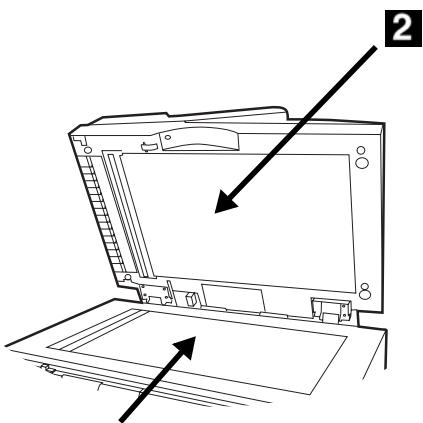 OKI MC560NMFP - Maintenance Cleaning the ADF Glass - 2