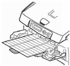 OKI MC560NMFP - Étiquettes - 1