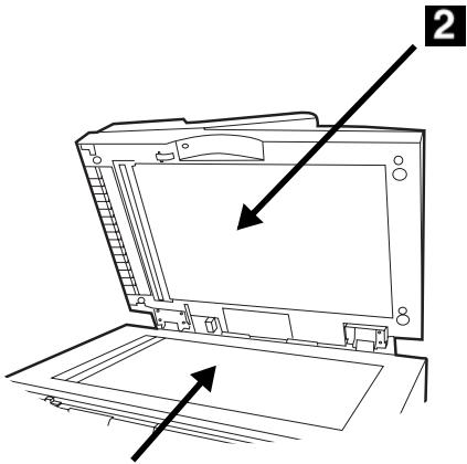 OKI MC560NMFP - Maintenance (suite) Nettoyage du verre du CAD - 2