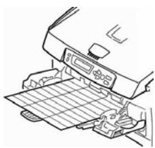 OKI MC560NMFP - Labels - 1