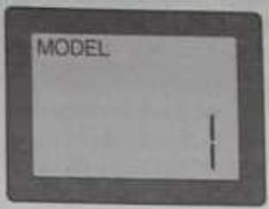 MODEL