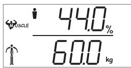 BALANCE KH 5518 / 5519 BODY COMPOSITION SCALE - Warnung! - 3