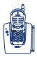 ATLINKS BILOBA 570 - Enregistrement de l'annonce (suite) - 2