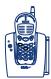 ATLINKS BILOBA 570 - Enregistrement de l'annonce (suite) - 2