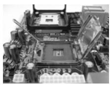 ASROCK 775V88 PLUS - 775-Land CPU Installation - 4