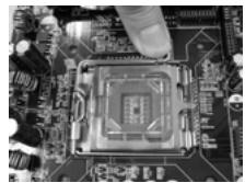 ASROCK 775V88 PLUS - 775-LAND CPU Installation - 3