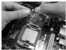 ASROCK 775V88 PLUS - 775-Land CPU Installation - 10