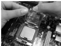 ASROCK 775V88 PLUS - Fase 2. Inserire la CPU 775-Pin: - 6