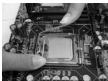 ASROCK 775V88 PLUS - Instalación de Procesador - 12