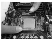 ASROCK 775V88 PLUS - 775-Land CPU Installation - 12